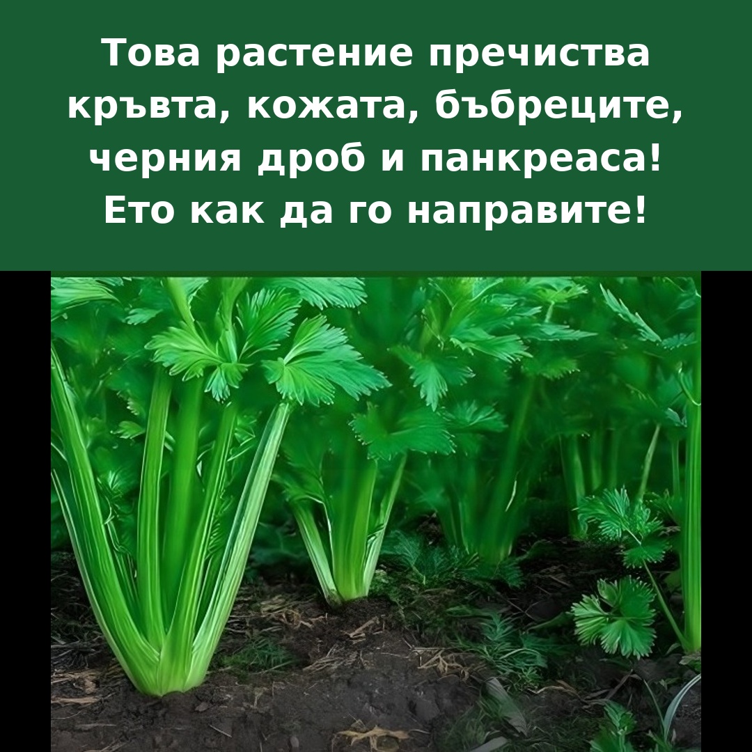 Popup Image